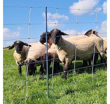 Modrá síť pro elektrický ohradník proti vlkům, výška 122 cm, délka 50 m, dvojitý hrot